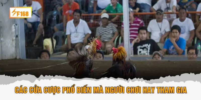 Các cửa cược phổ biến mà người chơi hay tham gia